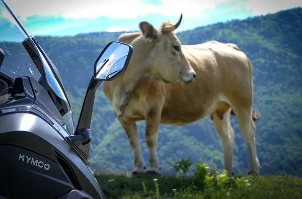 Route des corniches Ariege 19
